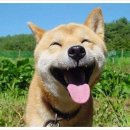 백천헬스 | 아 9월 이제 상했네