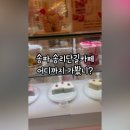 마이리틀벌스데이
