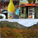 서운정(栖雲亭) | 안동 고택체험, 영월, 청송 &amp; 예천