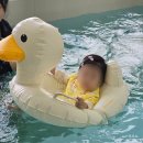나밍밍 강아지네 | 7월 쿠팡 내돈내산 구매템 후기｜잘 산 것부터 굳이템까지 솔직 리뷰