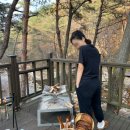 청계동 솔바람 야영장 이미지