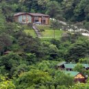 금강자연휴양림 이미지