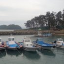 정맘 이미지