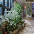 세림약국 | 용인요양원 동수원노인전문요양원 편안하고 안전한 돌봄