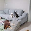 우암점현대자동차 | 일상기록 _ 아빠의 간암, 드레스셀렉, 턱시도대여, 웨딩촬영자율복, 현대자동차, 쿠쿠밥솥, 야외스냅답사