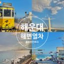 송정해변길 | 해운대 해변열차 송정역 다릿돌 전망대 청사포 예약 탑승 후기
