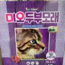 미오미오 고양이분양 | [코스트코] 미오 고양이 두부모래 후기 (퀸오브샌드와 비교해 봤어요)