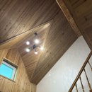 퍼니멍멍 장미애견펜션 이미지