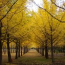 은행약수터 이미지