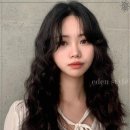 다다헤어 이미지