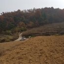선산IC