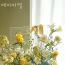 메이씨엘 이미지