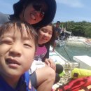 2018.03 세부/보홀 자유여행 Part 2. 보홀여행 - 로복강, 초콜릿힐, 안경원숭이, 오션젯, 반딧불투어...