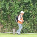 한강수변길 이미지