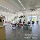 살롱드뮴 - 119909 | 살롱드뮴