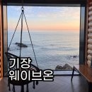 NR-31[해맞이로]-상-150 | 부산 기장 오션뷰 카페 웨이브온 별채 이용 후기