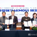 디씨티