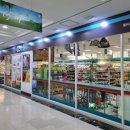 GS25 엘리시안강촌점 이미지