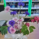 이마트24대전월드컵점 이미지