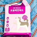 냄새잡는 페츠모아 강아지 배변패드 울트라 슈퍼와이드 후기