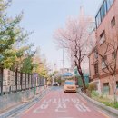 라미음악학원