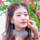 (스압)오늘 생일을 맞은 아이브 장원영.jpgif 이미지