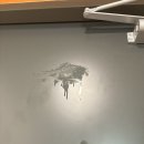 피크페인트 신규 컬러 버터 크림색으로 현관문 페인트 칠하기 | 내돈내산 후기 ㅣ 현관 셀프 인테리어