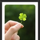 은하초등학교 이미지