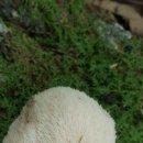 노암마트 이미지