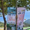 정읍 구절초축제 생생 후기, 현재 풍경과 요금 정보