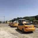 지곡자동차 | 포항 지곡 운전면허학원 TOP 3! 초보 단기 합격 위한 완벽 비교 분석