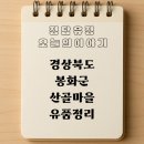 산정마을농로 | 경상북도 봉화군 산골마을 유품정리 후기