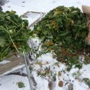 키다리농장 이미지