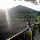 창산수목원 네이버블로그