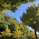 주한슈퍼 | 주한독일문화원 어학원 괴테, GOETHE 내돈내산 후기 / A1.1 super intensive course 수강 후기