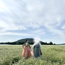 군달맘돌복