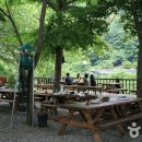 산돼지마을 이미지