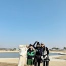 원정들1 이미지