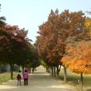 서호노인복지관 이미지