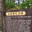 칠갑산ᆢ엄지산악회 창립 시산제 이미지