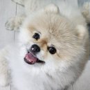 약선당한의원 | 교통사고후 한방병원 입원후기