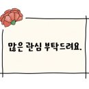 핸썸크래프트