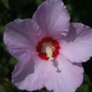 금호 조각공원 이미지