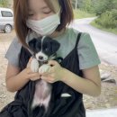 고모네 민박 이미지