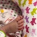 나여사 김밥 | 빛고을여성병원 제왕절개 5박 6일 입원 후기 || 첫 수유콜과 첫 유축