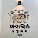 마이닥스