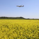인천국제공항 하늘정원 내 이미지