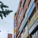 청수냉면 | 메밀 맛집 여의도 청수 우동/메밀/냉면 후기