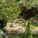 고령목장 | 경북 고령 캠핑장 숲에안기다 2025년 5월 아이랑 가족 캠핑