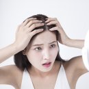 모블리스 이미지